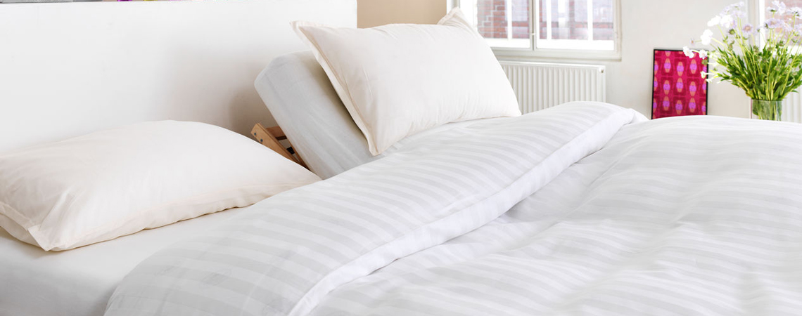 the best way to get rid of dust mites