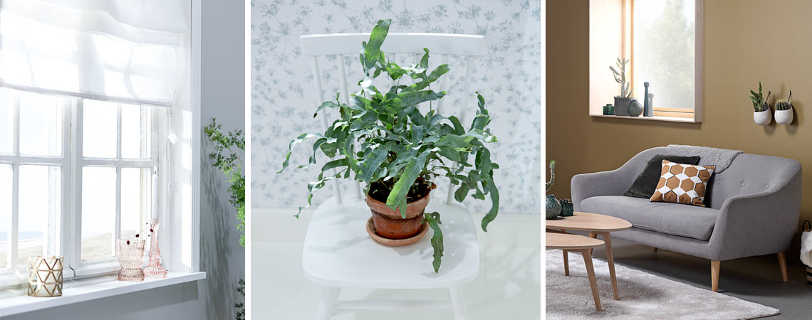 Calm and tranquil collections, created to enable Feng Shui Feng Shui decorating and design tips