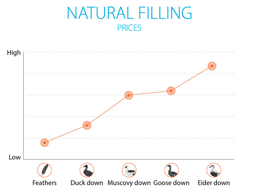 A chart of different types of natural filling Chart showing the different kinds of natural filling for duvets