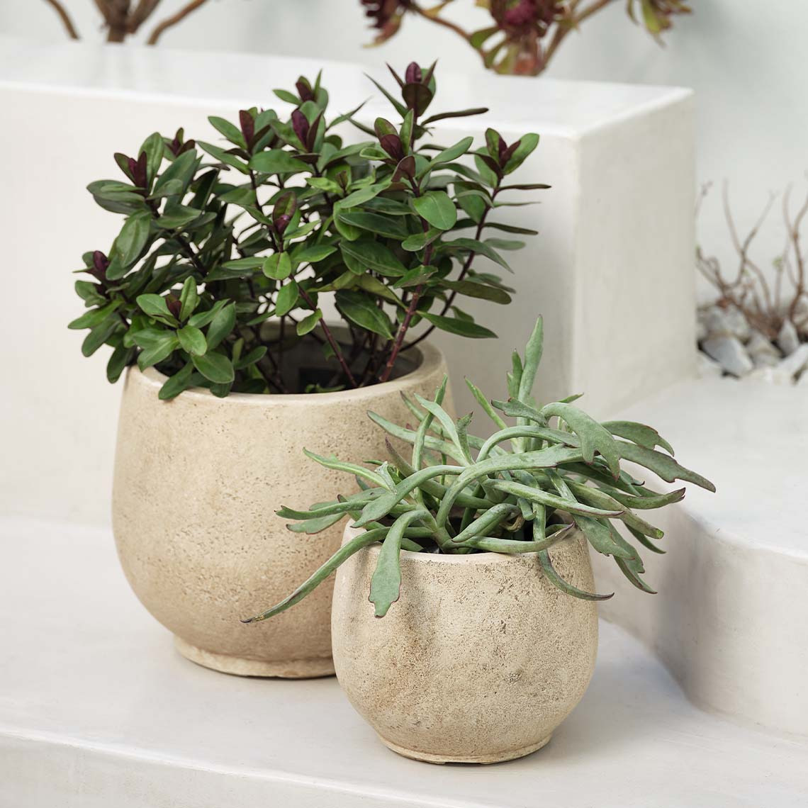 JERPE frostproof garden planter set of two Warm beige, frostproof fibre clay garden planters with a rustic, natural, and textured surface