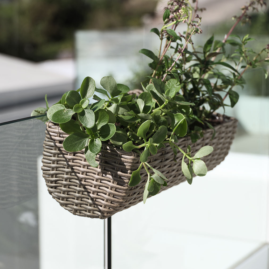 STEINTROST balcony planter made from frost-hardy, maintenance-free polyrattan and steel Balcony hanging planter made from maintenance-free polyrattan with green plants