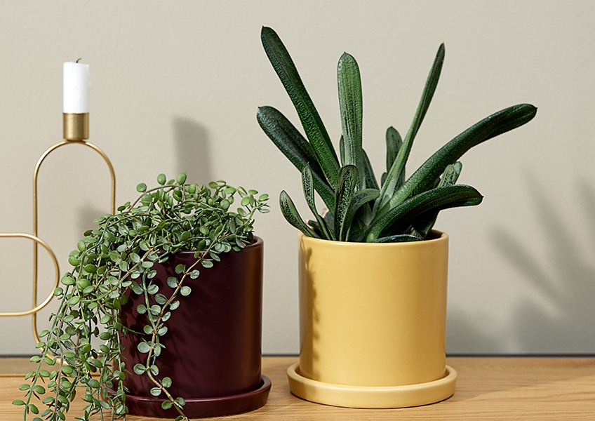 AXEL plant pots in purple and yellow with SVENN artificial plant and a natural plant. A hanging plant in a purple plant pot next to a pointy plant in a yellow plant pot